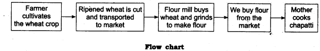 NCERT Solutions Class 6 Science Food Where Does It Come From