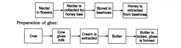 NCERT Solutions Class 6 Science Food Where Does It Come From