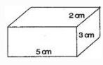 NCERT Solutions Class 7 Mathematics Visualizing Solid Shapes