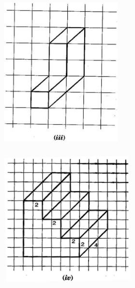NCERT Solutions Class 7 Mathematics Visualizing Solid Shapes