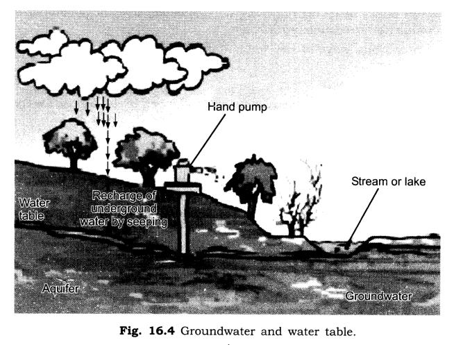 NCERT Solutions Class 7 Science Water A Precious Resource