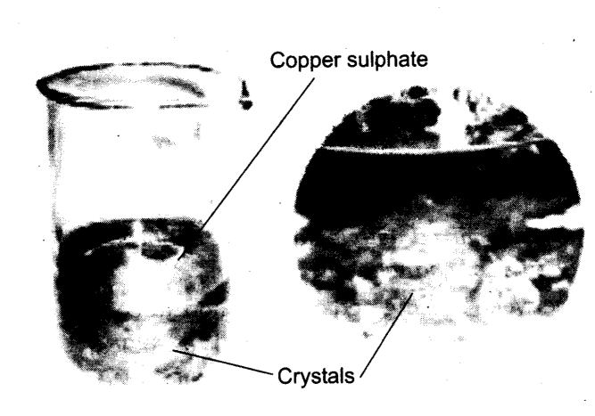 NCERT Solutions Class 7 Science crystals of copper sulphate