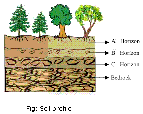 NCERT Solutions Class 7 Science soil