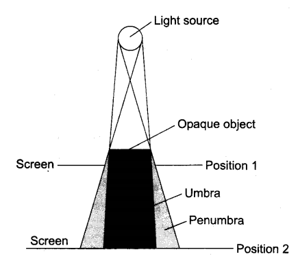 NCERT Solutions Class 6 Science Light shadow and reflection