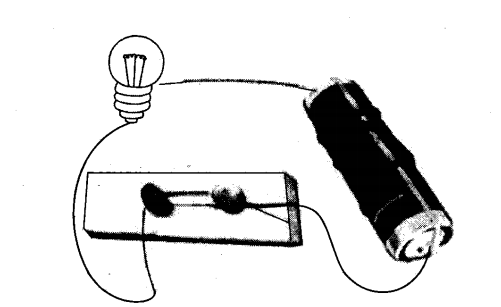 NCERT Solutions Class 6 Science Electricity and Circuits
