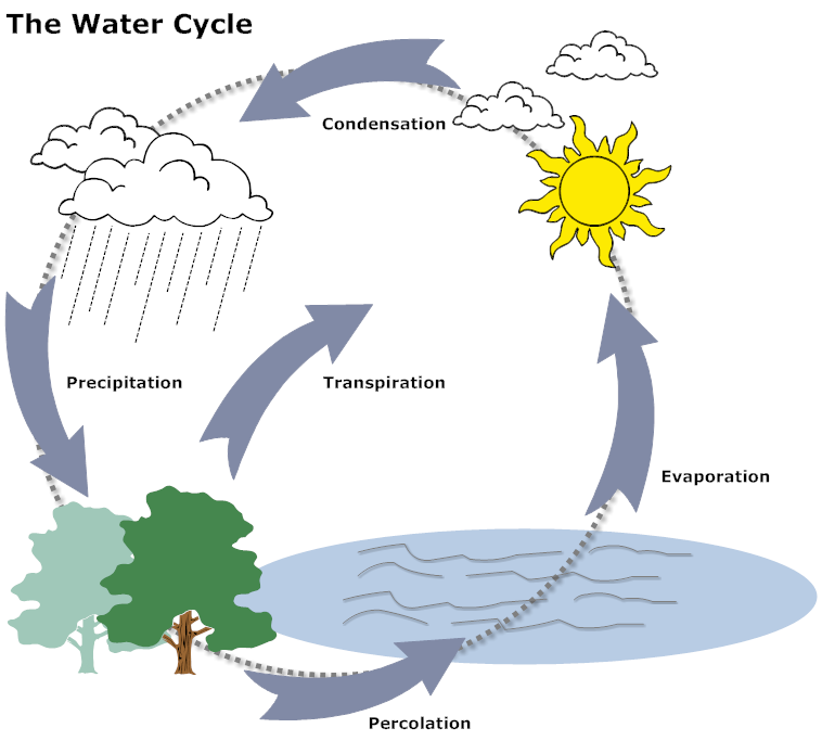 NCERT Solutions Class 6 Science water cycle
