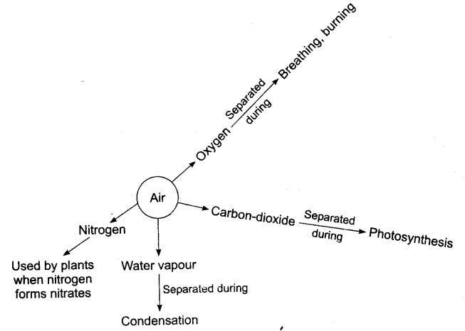 NCERT Solutions Class 6 Science Air Around us