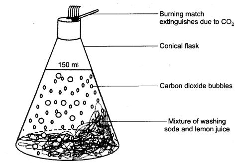 NCERT Solutions Class 6 Science Changes around us What is a chemical change