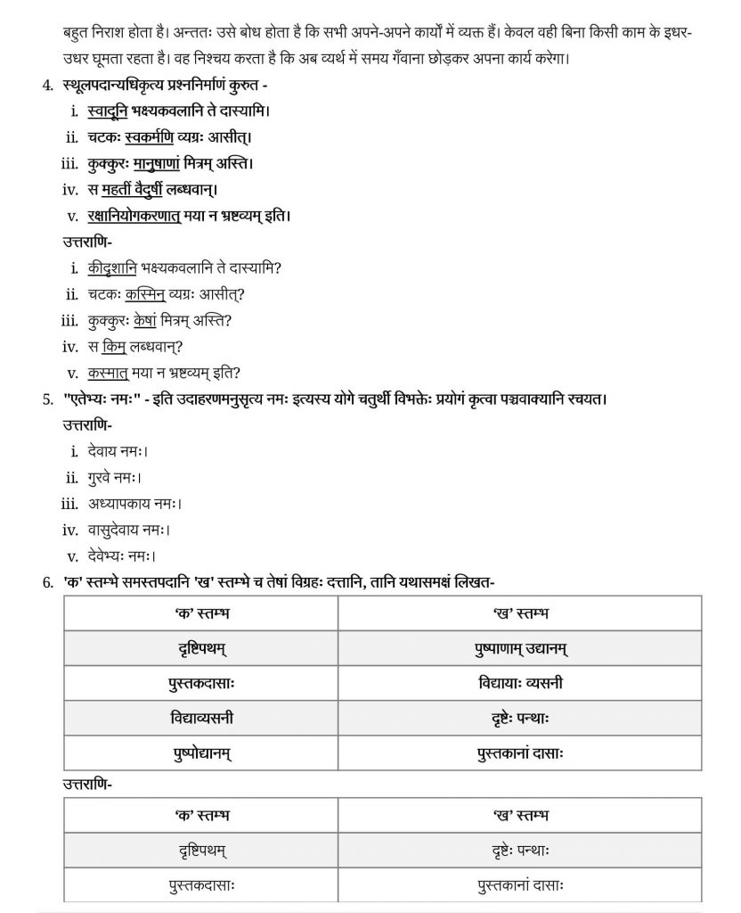 NCERT Solutions Class 9 Sanskrit Shemushi Bhranto Baal
