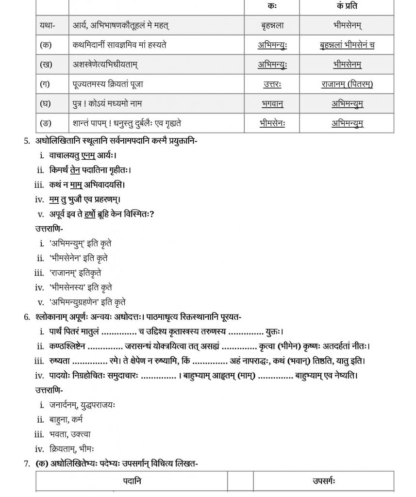 NCERT Solutions Class 9 Sanskrit Shemushi Pratyabhigyanam