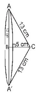 NCERT Solutions Class 9 Mathematics Surface Areas and Volumes