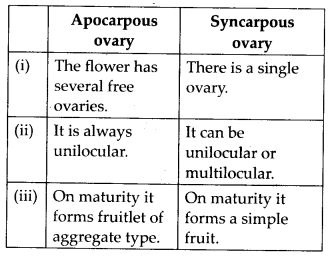 Differences between Apocarpous and syncarpous ovary