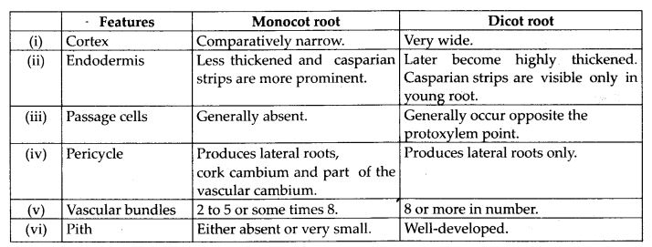 difference between Monocot root and dicot root