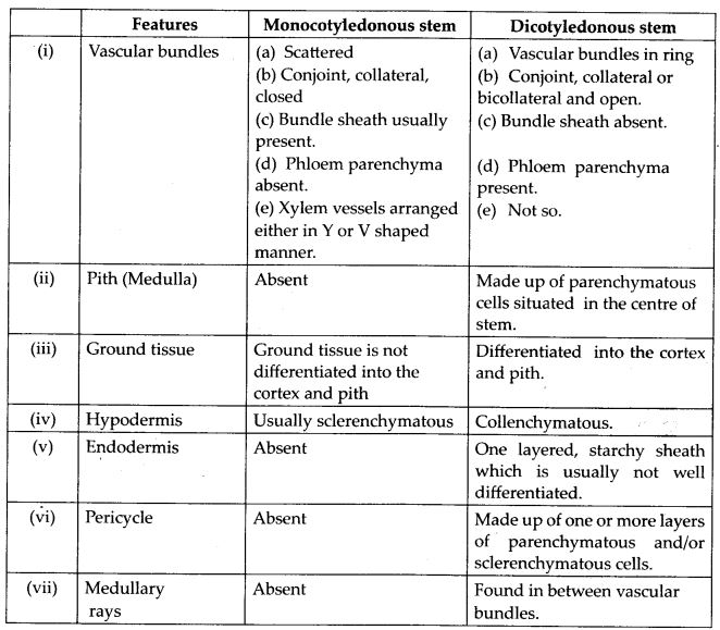 Differences between monocot and dicot stems