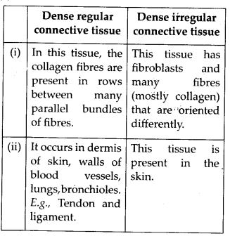 Differences between Dense regular and dense irregular connective tissues