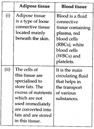 Differences between Adipose and blood tissue
