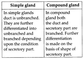 Differences between Simple gland and compound gland
