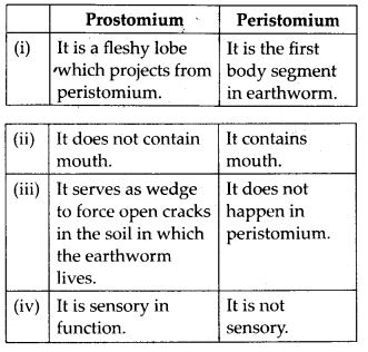 NCERT Solutions Class 11 biology Differences between prostomium and peristomium