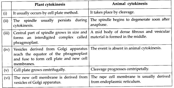 How does cytokinesis in plant cells differ from that in animal cells