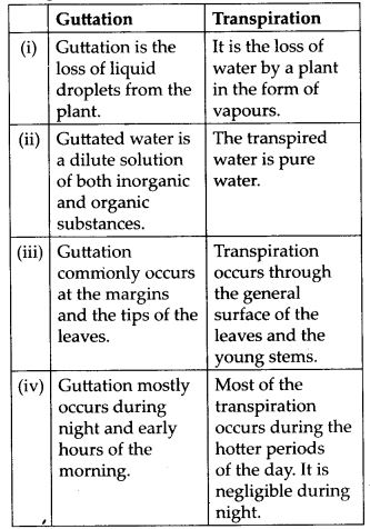 Differences between guttation and transpiration