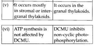 differences between cyclic and non- cyclic photo-phosphorylation