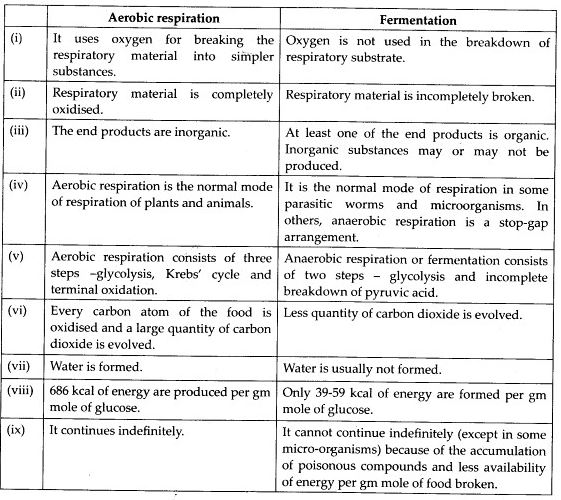 Differences between aerobic respiration and fermentation