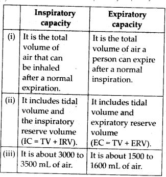 Differences between inspiratory capacity and expiratory capacity