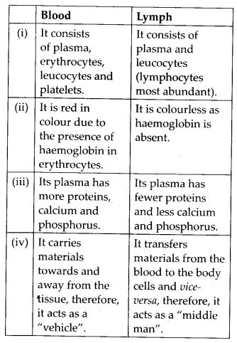 differences between blood and lymph