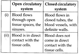 differences between open and closed circulatory system