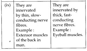 Differences between red muscle fibres and white muscle fibres