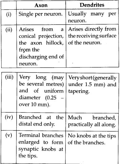 Differences between Axon and dendrites