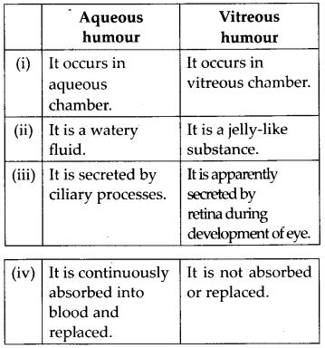 difference between Aqueous humour and vitreous humour