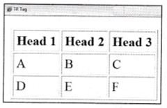 NCERT Solutions Class 10 Social Science Information Technology inserting table in HTML