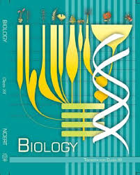 NCERT Solutions Class 12 Biology