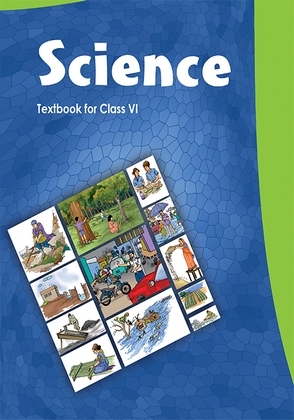 NCERT Solutions Class 6 Science Textbook