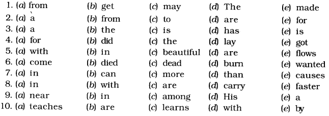 NCERT solutions Class 6 English Grammar editing task