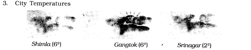 NCERT solutions Class 6 English Honeysuckle Banyan Tree