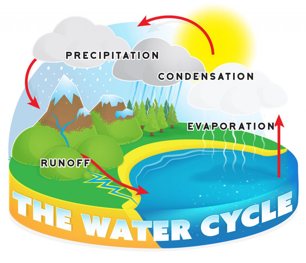 NCERT Solutions Class 7 social Science our environment Water