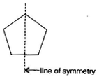 NCERT Solutions Class 6 Mathematics Symmetry