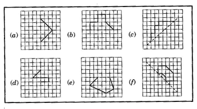 NCERT Solutions Class 6 Mathematics Symmetry