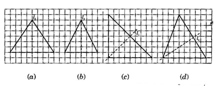 NCERT Solutions Class 6 Mathematics Symmetry