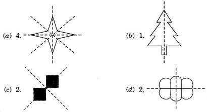 NCERT Solutions Class 6 Mathematics Symmetry