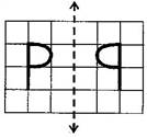 NCERT Solutions Class 6 Mathematics Symmetry