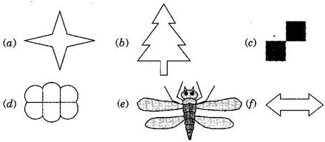 NCERT Solutions Class 6 Mathematics Symmetry