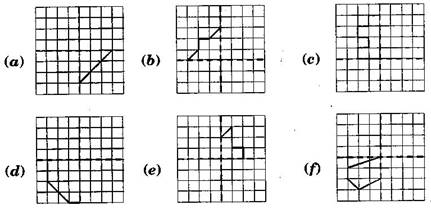 NCERT Solutions Class 6 Mathematics Symmetry