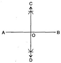 NCERT Solutions Class 6 Mathematics Practical Geometry