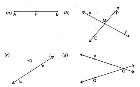 NCERT Solutions Class 6 Mathematics Basic Geometrical Ideas