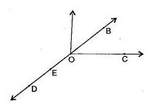 NCERT Solutions Class 6 Mathematics Basic Geometrical Ideas