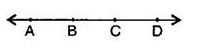 NCERT Solutions Class 6 Mathematics Basic Geometrical Ideas