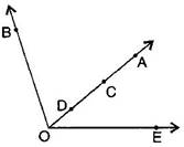 NCERT Solutions Class 6 Mathematics Basic Geometrical Ideas